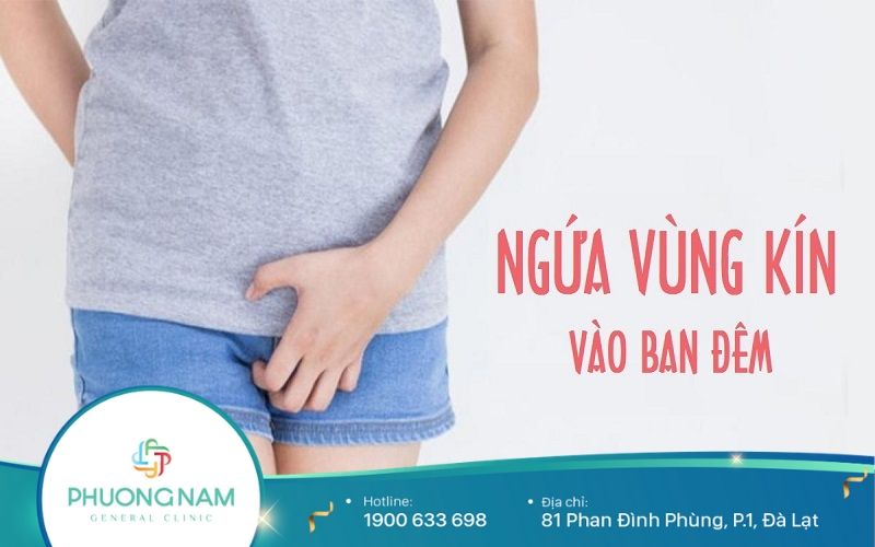 Ngứa Vùng Kín Vào Ban Đêm Là Bệnh Gì?