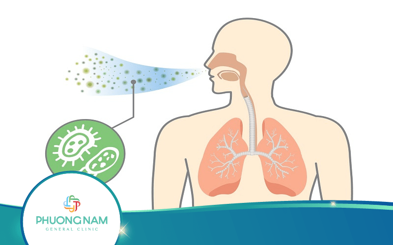 Siêu âm phổi có ý nghĩa gì trong chẩn đoán, điều trị bệnh?