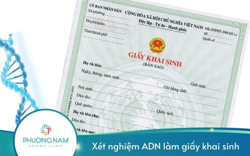 Xét Nghiệm Adn Để Làm Giấy Khai Sinh Cho Con – Những Điều Nên Biết