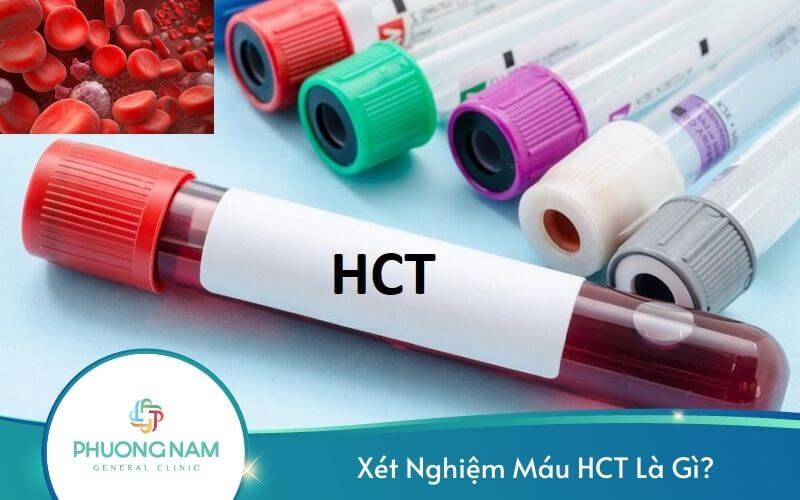 Xét Nghiệm Máu Hct Là Gì?