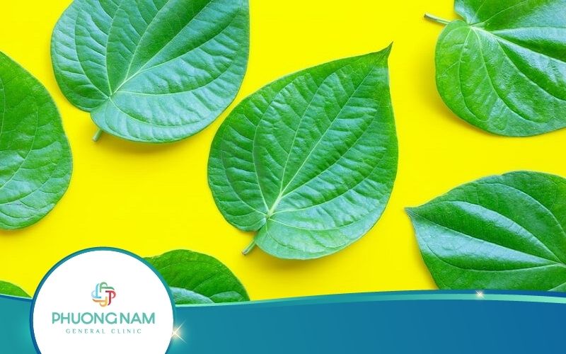 Bật Mí Cách Hơ Cho Bé Sơ Sinh Bằng Lá Trầu An Toàn Hiệu Quả