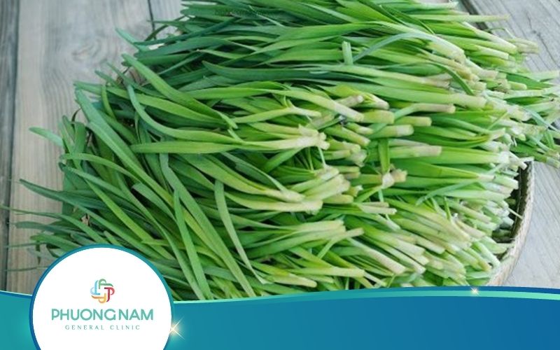6 Tác Dụng Của Lá Hẹ Đối Với Trẻ Sơ Sinh Không Phải Ai Cũng Biết