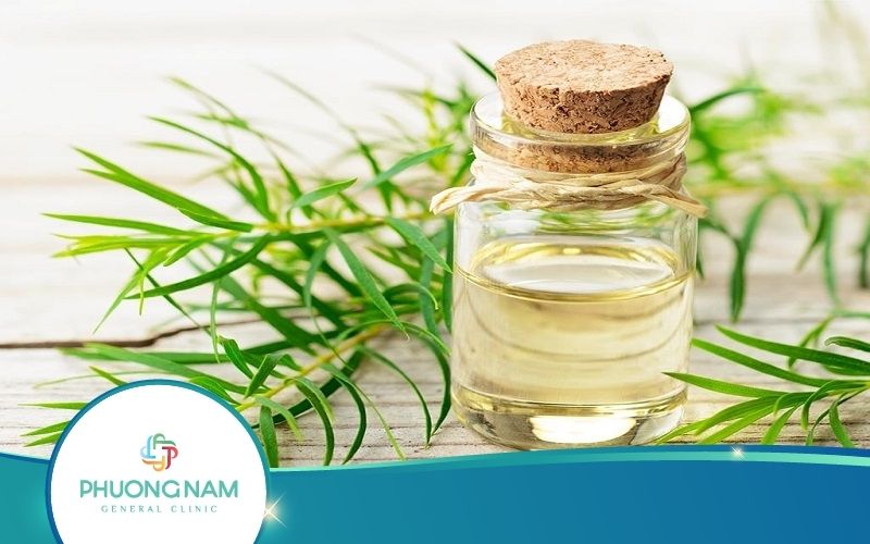 Top 7 Cách Trị Ho Cho Trẻ Sơ Sinh Bằng Dầu Tràm