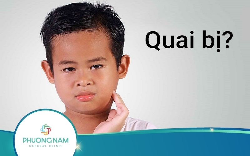 Bệnh Quai Bị: Nguyên Nhân, Biểu Hiện, Biến Chứng, Cách Phòng Bệ