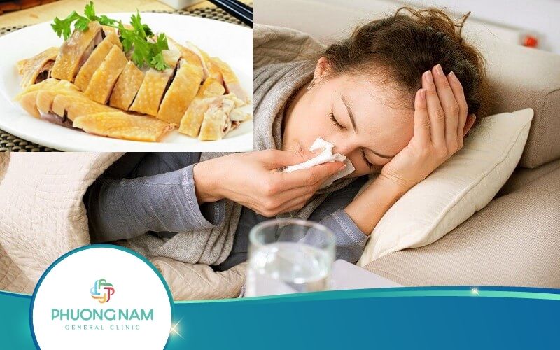 [Giải Đáp] Cảm Cúm Có Nên Ăn Thịt Gà Không, Vì Sao?