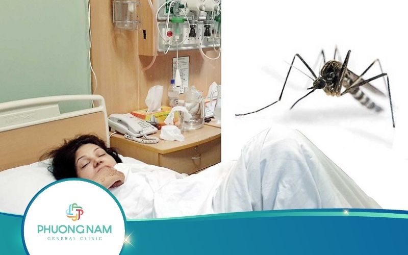 Sốt Xuất Huyết Có Ảnh Hưởng Đến Thai Nhi Không?