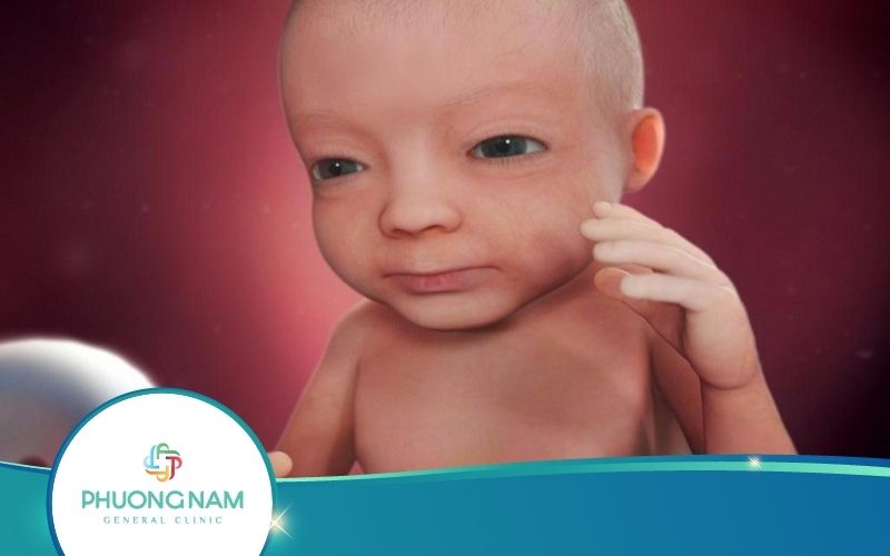 Bật Mí Em Bé Trong Bụng Mẹ Có Mở Mắt Không?