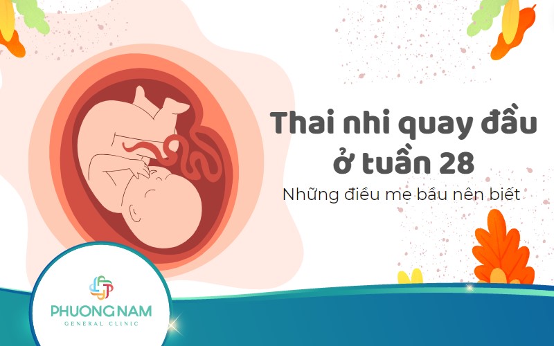 Thai nhi quay đầu ở tuần 28: Những điều mẹ bầu cần biết