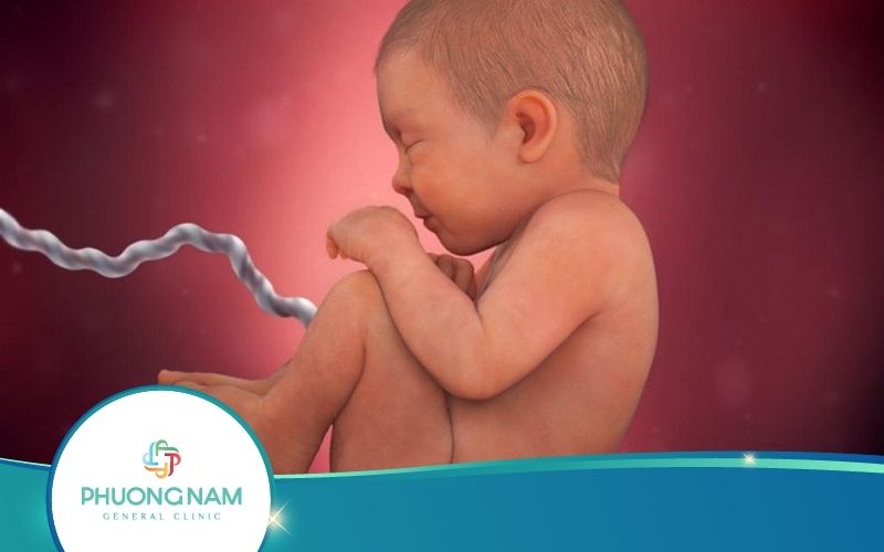 [Bật Mí] Tháng Thứ Mấy Thai Nhi Mọc Tóc?