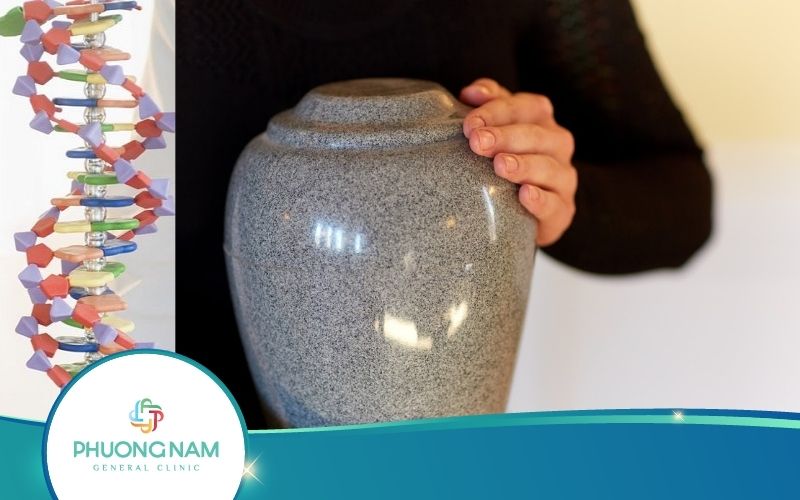 Tro Cốt Có Xét Nghiệm Adn Được Không? – Bác Sĩ Giải Đáp