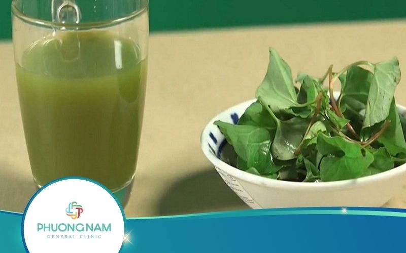 Uống Nước Rau Diếp Cá Trị Mụn Được Không? Thực Hiện Thế Nào?