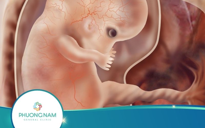 Khi Thai Nhi 7 Tuần Tuổi Cơ Thể Mẹ Thay Đổi Như Thế Nào?