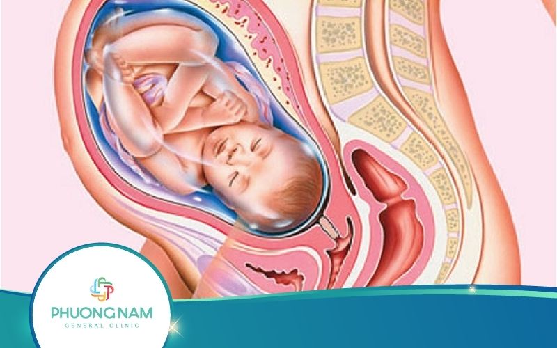 Thai Nhi 37 Tuần Nặng Bao Nhiêu? – Mẹ Bầu Nên Biết