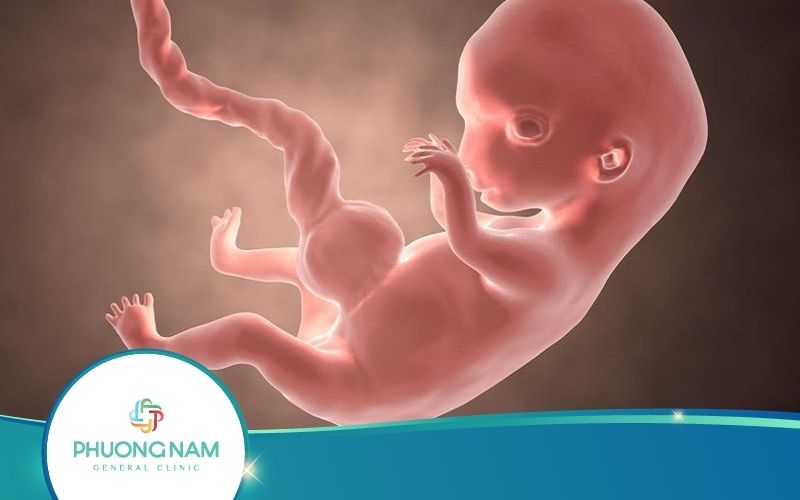 Chỉ Số Chiều Dài Xương Cánh Tay Của Thai Nhi Ngắn Có Sao Không?