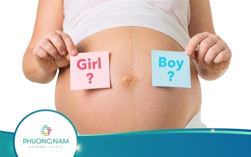 Thai 17 Tuần Biết Trai Hay Gái Chưa? – Cách Xác Định Giới Tính Chuẩn Xác