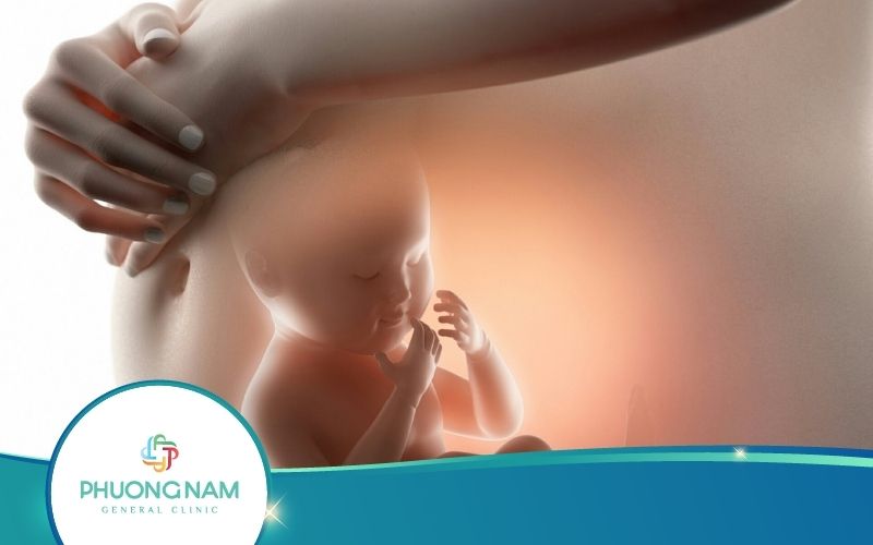 Thai 31 Tuần Nặng Bao Nhiêu Là Chuẩn? – Chuyên Gia Giải Đáp