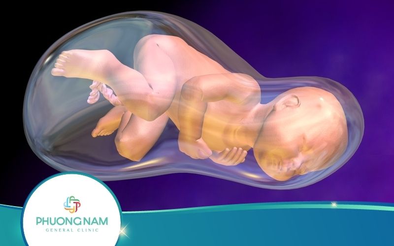 Đẻ Bọc Điều – Hiện Tượng Kỳ Diệu Vô Cùng Hiếm Gặp
