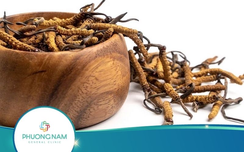 Hậu Covid Uống Đông Trùng Hạ Thảo Cần Lưu Ý Những Gì?