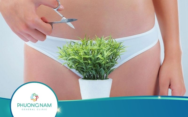Tỉa Lông Vùng Kín Nữ Bằng Kéo Tại Nhà Không Bị Ngứa