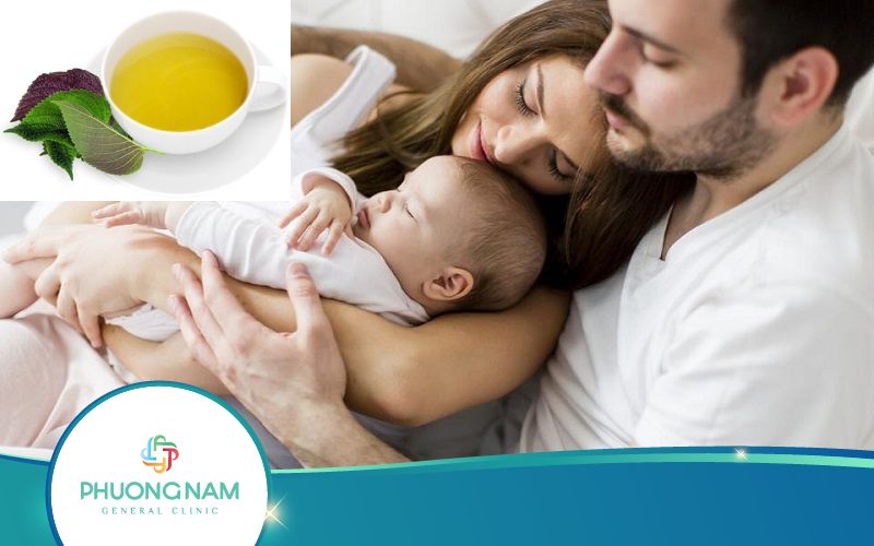 Rửa Lá Tía Tô Để Sinh Con Trai Có Hiệu Quả Không?