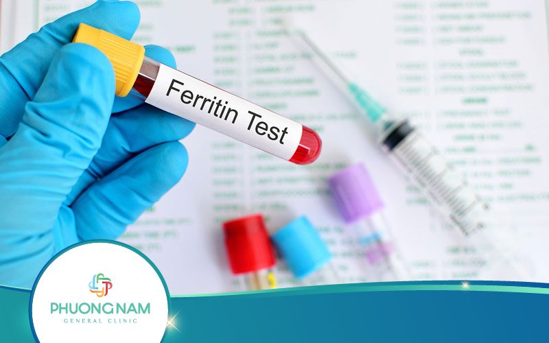 Xét Nghiệm Ferritin Là Gì? Khi Nào Nên Thực Hiện?
