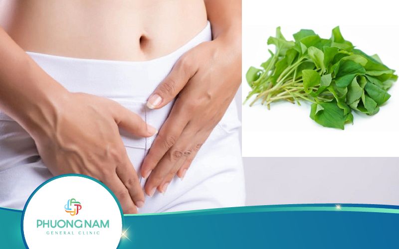 Top 5 Cách Chữa Bệnh Phụ Khoa Bằng Rau Diếp Cá Hiệu Quả Cao