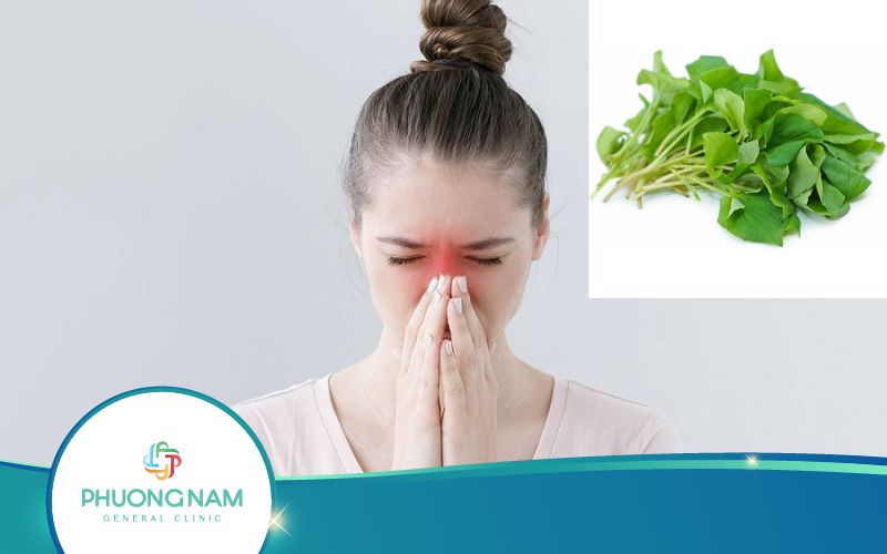 Cách Chữa Viêm Xoang Bằng Rau Diếp Cá Hiệu Quả Bạn Nên Biết