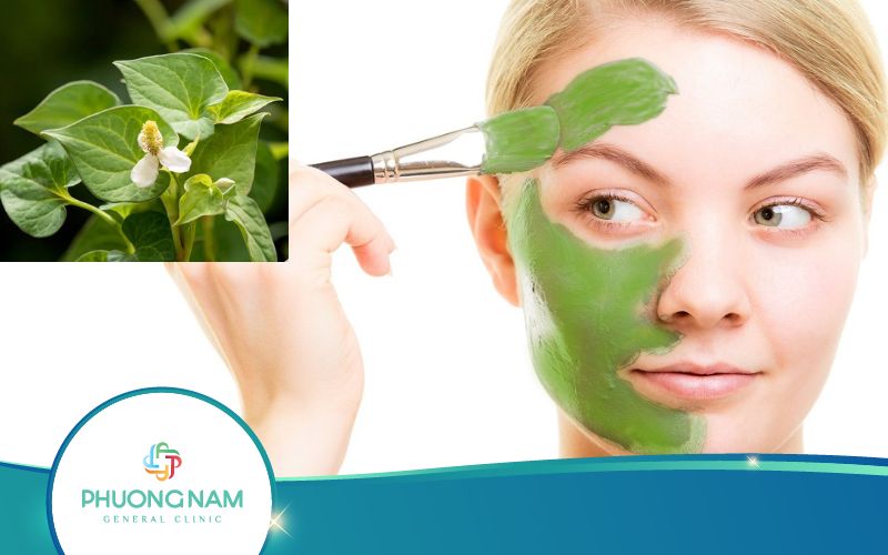 Có Nên Đắp Mặt Nạ Diếp Cá Hằng Ngày Không? Vì Sao?