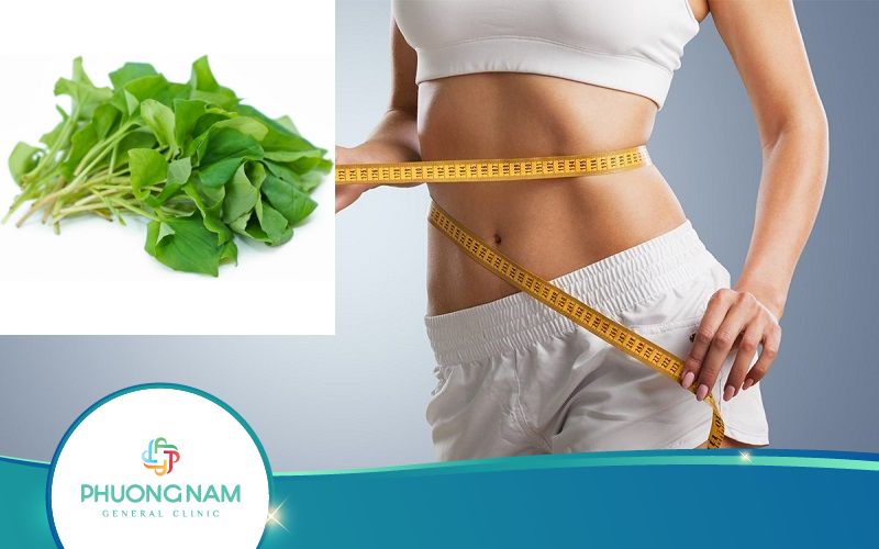 Giảm Cân Bằng Rau Diếp Cá Thực Hiện Như Thế Nào?