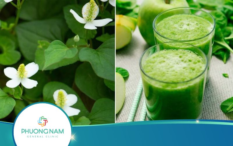 Cách Làm Nước Ép Diếp Cá Tốt Cho Sức Khỏe!