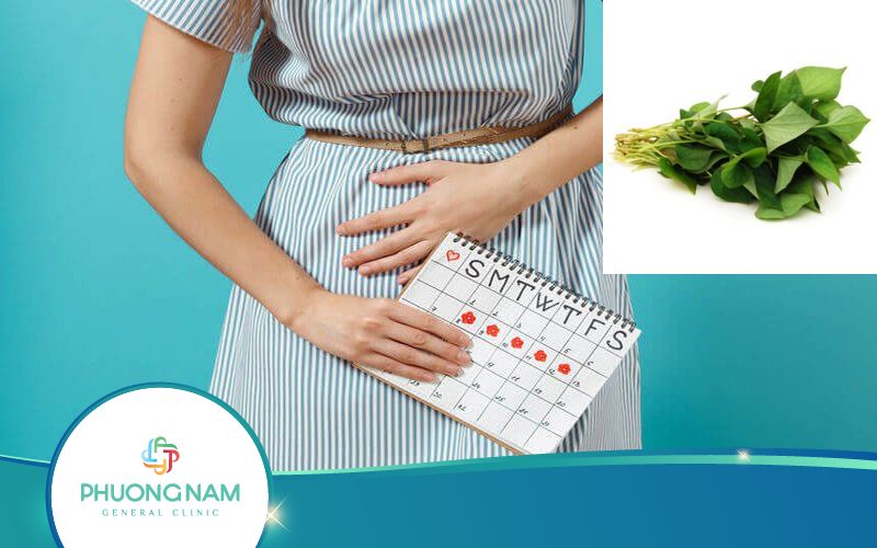 Dùng Rau Diếp Cá Chữa Kinh Nguyệt Không Đều Như Thế Nào?