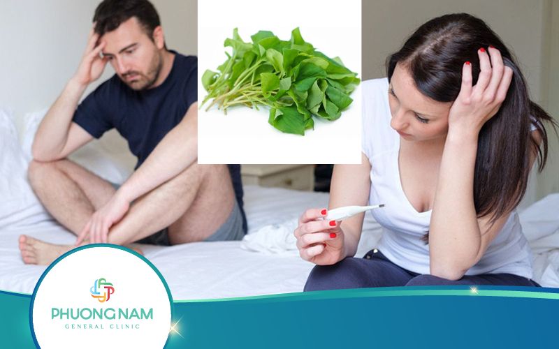 Ăn Rau Diếp Cá Gây Vô Sinh?! Thực Hư Ra Sao?