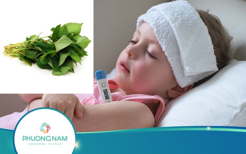 Tác Dụng Của Rau Diếp Cá Với Trẻ Nhỏ Như Thế Nào?
