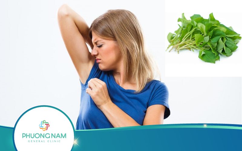 Top 6 Cách Trị Hôi Nách Bằng Rau Diếp Cá Tại Nhà Tốt Nhất