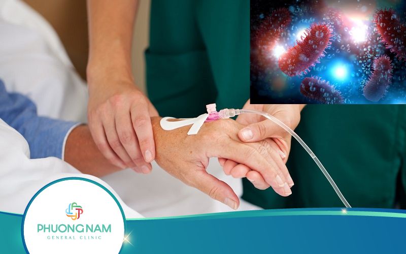 Bệnh Dại Có Chữa Được Không? Dự Phòng Thế Nào?