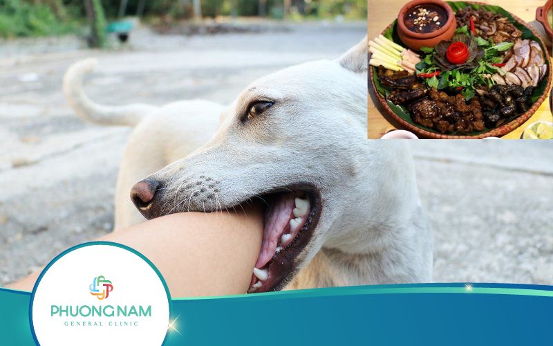 Dùng Thịt Từ Động Vật Bị Dại Có Lây Bệnh Dại Không? Vì Sao?