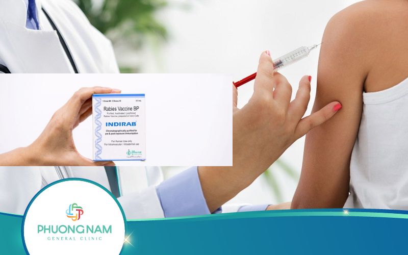 Indirab Vắc Xin Phòng Dại Hiệu Quả, An Toàn