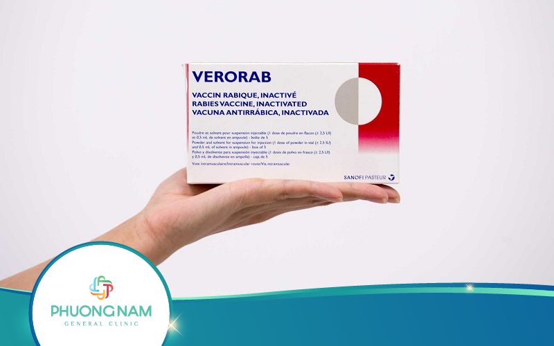 Vắc Xin Verorab Phòng Bệnh Dại – Tìm Hiểu Chi Tiết