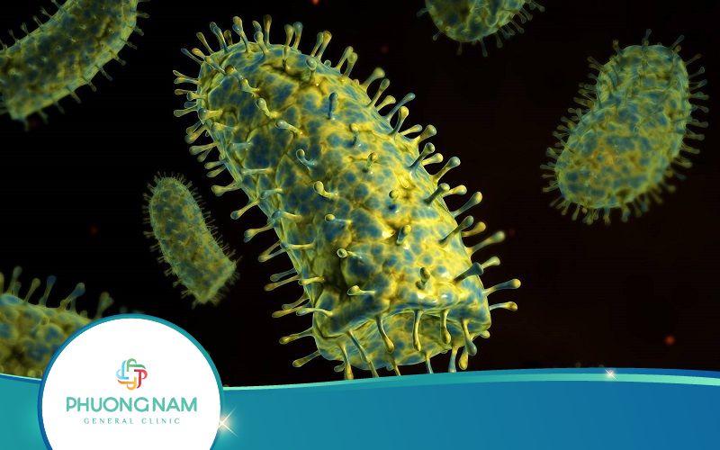Virus Bệnh Dại Có Đặc Điểm Như Thế Nào?