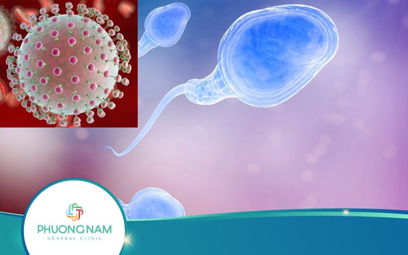 Hỏi Đáp: Viêm Gan B Có Ảnh Hưởng Đến Tinh Trùng Không?