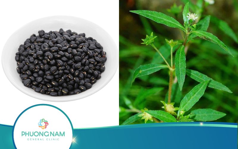 Có Nên Sắc Đỗ Đen Và Cỏ Mực Để Uống Không?
