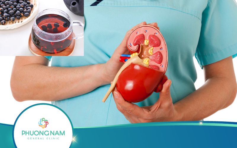 Uống Nước Đậu Đen Có Tốt Cho Thận Không? Vì Sao?