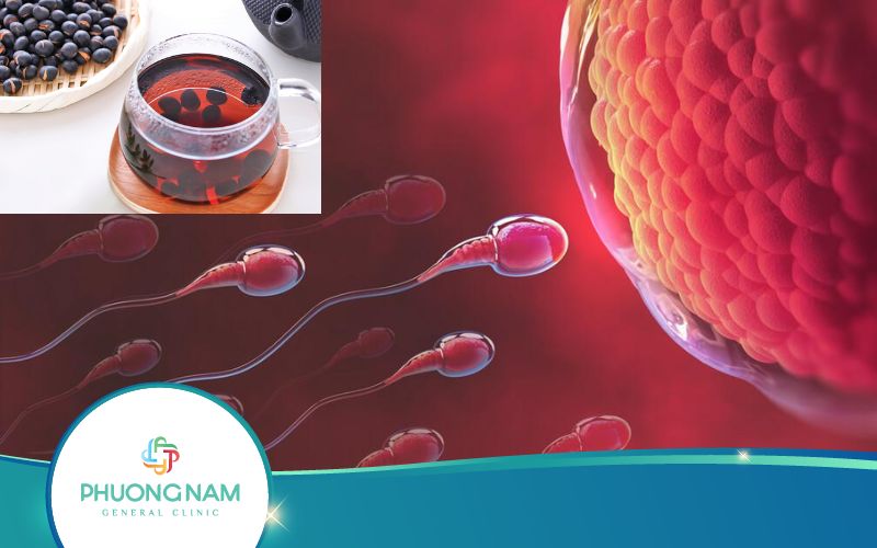 Uống Nước Đậu Đen Dễ Thụ Thai Có Thật Không?