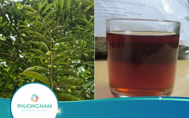 Hỏi Đáp: Bà Bầu Uống Nước Xạ Đen Được Không?