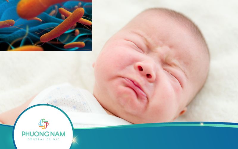 Bệnh Thương Hàn Ở Trẻ Em Nguy Hiểm Hơn Mẹ Nghĩ!