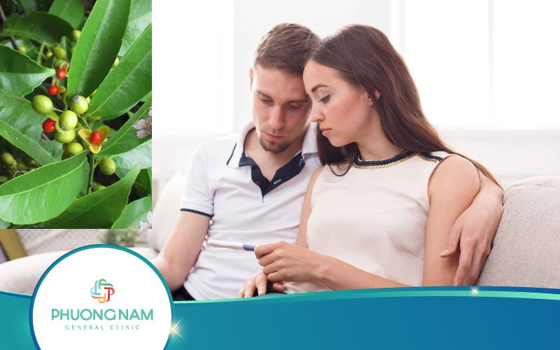 Cây Xạ Đen Có Gây Vô Sinh Không? Bất Ngờ Khi Biết!