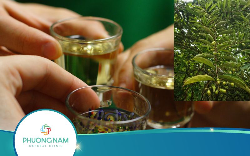 Dùng Cây Xạ Đen Ngâm Rượu Thế Nào? Công Dụng Ra Sao?