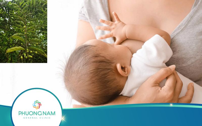 Mẹ Đang Cho Con Bú Có Uống Được Cây Xạ Đen Không?