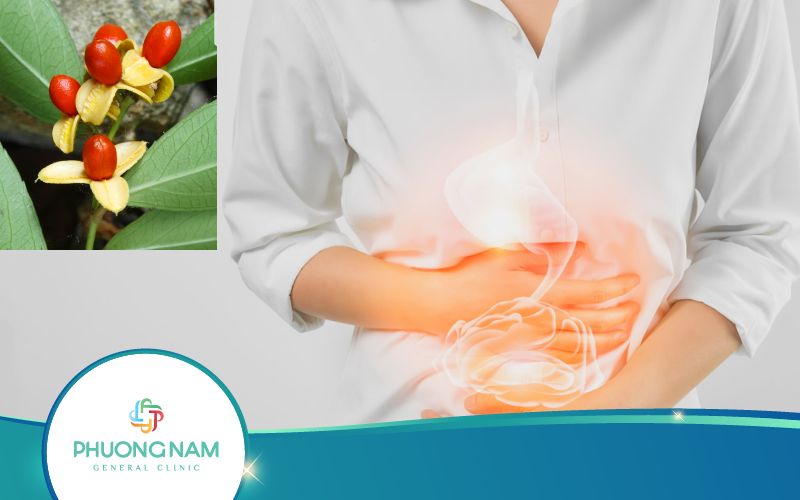Người Bị Đau Dạ Dày Có Uống Được Xạ Đen Không?