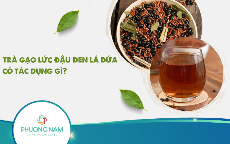 Trà gạo lứt đậu đen lá dứa có tác dụng gì? Công thức pha chế trà ngon